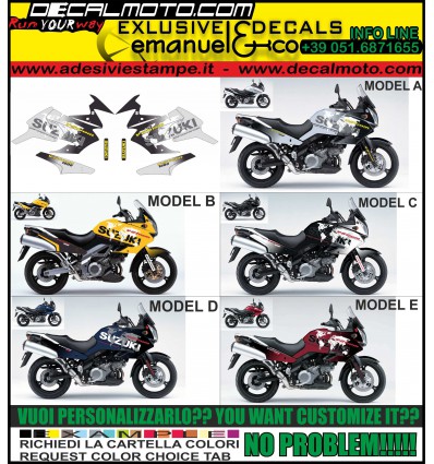 V-STROM DL 1000 2002 2009 WORLD