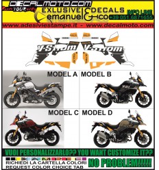 V-STROM DL 1000 2014 2016 RALLYE