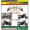 V-STROM DL 1000 2014 2016 RALLYE