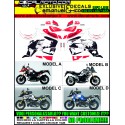 V-STROM DL 1000 2014 2016 WORLD