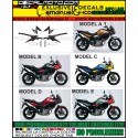 V-STROM DL 650 2012 2016 RALLYE