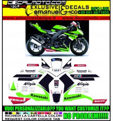 ZX 10 R 2008 - 2010 REPLICA TOM SYKES WSBK