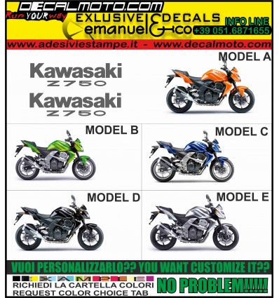 Z750 2007 - 2009