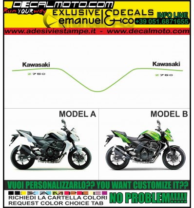 Z 750 2009 - 2010