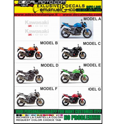Z 1000 2004 - 2006