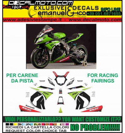 ZX-10 R NINJA 2011 - 2015 REPLICA SBK 2013 CARENE PISTA