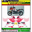 VSTROM DL 1000 2014 - 2016 REPLICA GASTON RAHIER