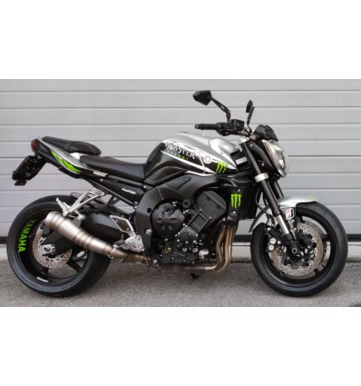 FZ1 MONSTER