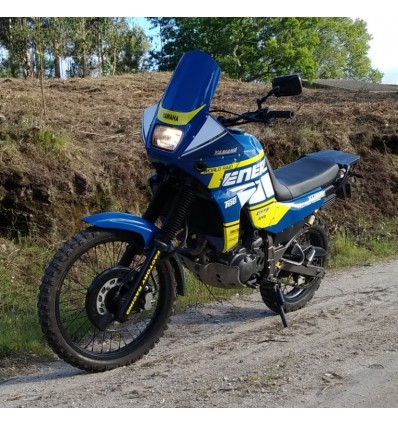 XT 660 Z TENERE 91 FACTORY RACING
