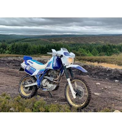 Adesivo DR 600 1989 R DAKAR