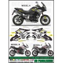 Adesivo TIGER 1050 2009 2013 SE