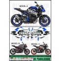Adesivo TIGER 1050 2009 2013 SE