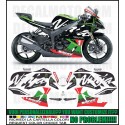 Adesivo ZX 6R NINJA 2009 - 2016 TRIBUTE