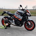 Adesivo TIGER 1050 2009 2013 SE