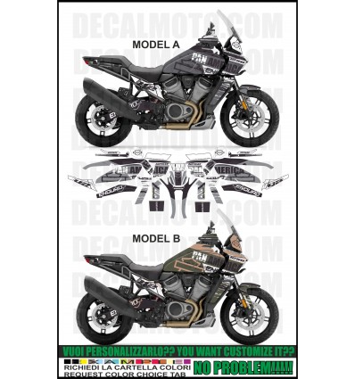 PAN AMERICA 1250 ENDURO GREY GREEN