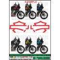 Adesivo RSV 1000 2002