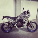 Adesivo XT 660 Z TENERE 2008 - 2016 REPLICA DAKAR CHESTERFIELD