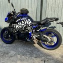 Adesivo TIGER 1050 2009 2013 SE