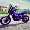 Adesivo XT 660 Z TENERE 2008 - 2016 REPLICA DAKAR CHESTERFIELD