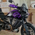 Adesivo RSV 1000 2002