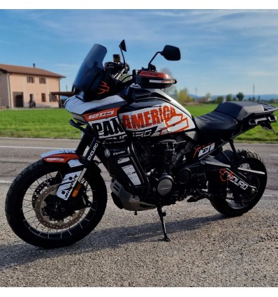 Adesivo RSV 1000 2002