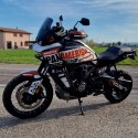 Adesivo PAN AMERICA 1250 ENDURO BLACK TO WHITE