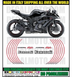 Adesivo ZX-10 R 2004 - 2007 NINJA PISTA RACE REPLICA SBK