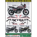 Adesivo V-STROM DL 650 2004 2011 sign
