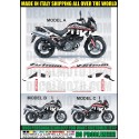 Adesivo V-STROM DL 650 2004 2011 sign