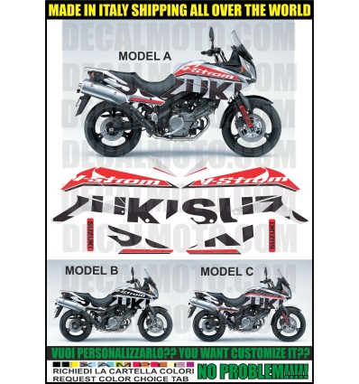 VSTROM DL 650 2004 - 2011 SIGN SILVER