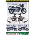 KIT STICKERS VSTROM DL 650 2004 - 2011 WORLD SILVER