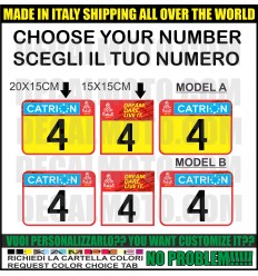 TABELLE TABS DAKAR 2025 SAUDI ARABIA