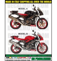 KIT STICKERS TUONO 1000 V2 2004
