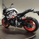 Adesivo TIGER 1050 2009 2013 SE