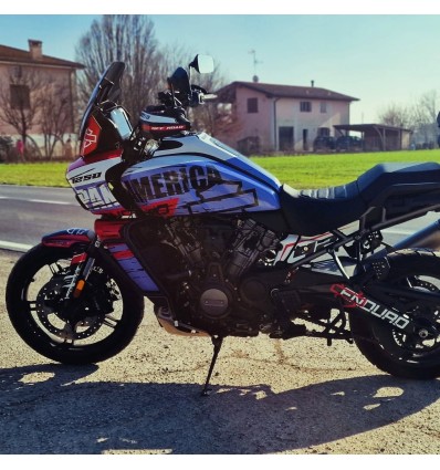 Adesivo RSV 1000 2002