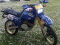 antastica xt 600 tenere con  kit stickers replica Dakar 1985 gauloises per Marco da Perugia 