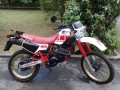 xt 600