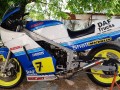 kit stickers RG 500 Replica Barry Sheene for Patrick from France