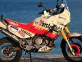 Kit stickers super tenere 750 replica paris Dakar 1989 for Sandro bravo from